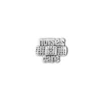Pewter Pin Nurses Care