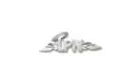 Pewter Pin LPN Angel Wings