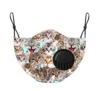 Living Royal Reusable Vented Face Mask and Filter Kit